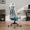 Green Soul Renewed Zodiac Lite High Back Mesh Office Chair