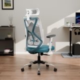 Green Soul Renewed Zodiac Lite High Back Mesh Office Chair – Complete Guide, Price Range, Reviews & Best Alternatives in India